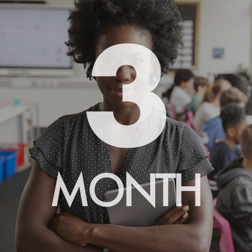 Bright Islands CoCo: INTERVENE Teacher 3-Month Subscription