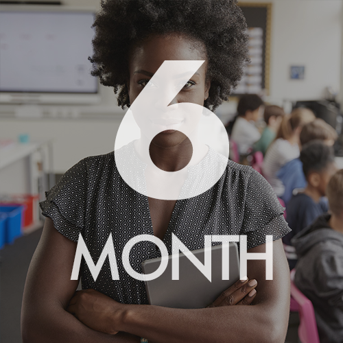 Bright Islands CoCo: IDENTIFY & INSTRUCT Teacher 6-Month Subscription